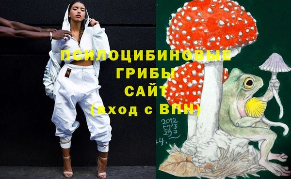 МДПВ Кукмор