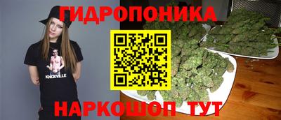 ПСИЛОЦИБИНОВЫЕ ГРИБЫ Будённовск