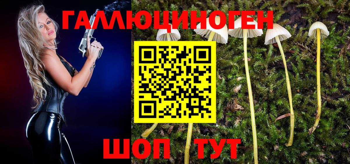 Псилоцибиновые грибы GOLDEN TEACHER  Галлюциногенные грибы Psilocybine cubensis  Малоярославец  даркнет сайт  Вход с VPN 
